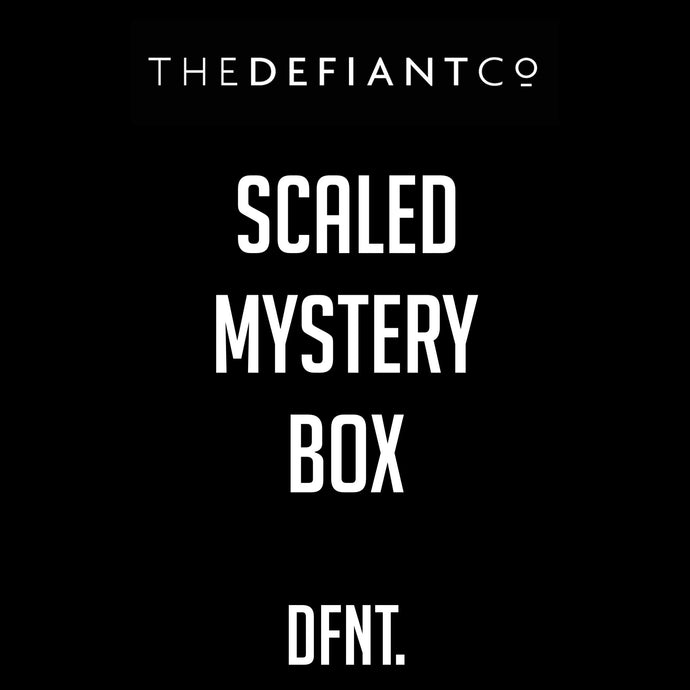 The photo shows the details for the mystery box and is simply just text on a black background. Both The Defiant Co and DFNT. logos are included with the level of the Mystery Box, this one being scaled.